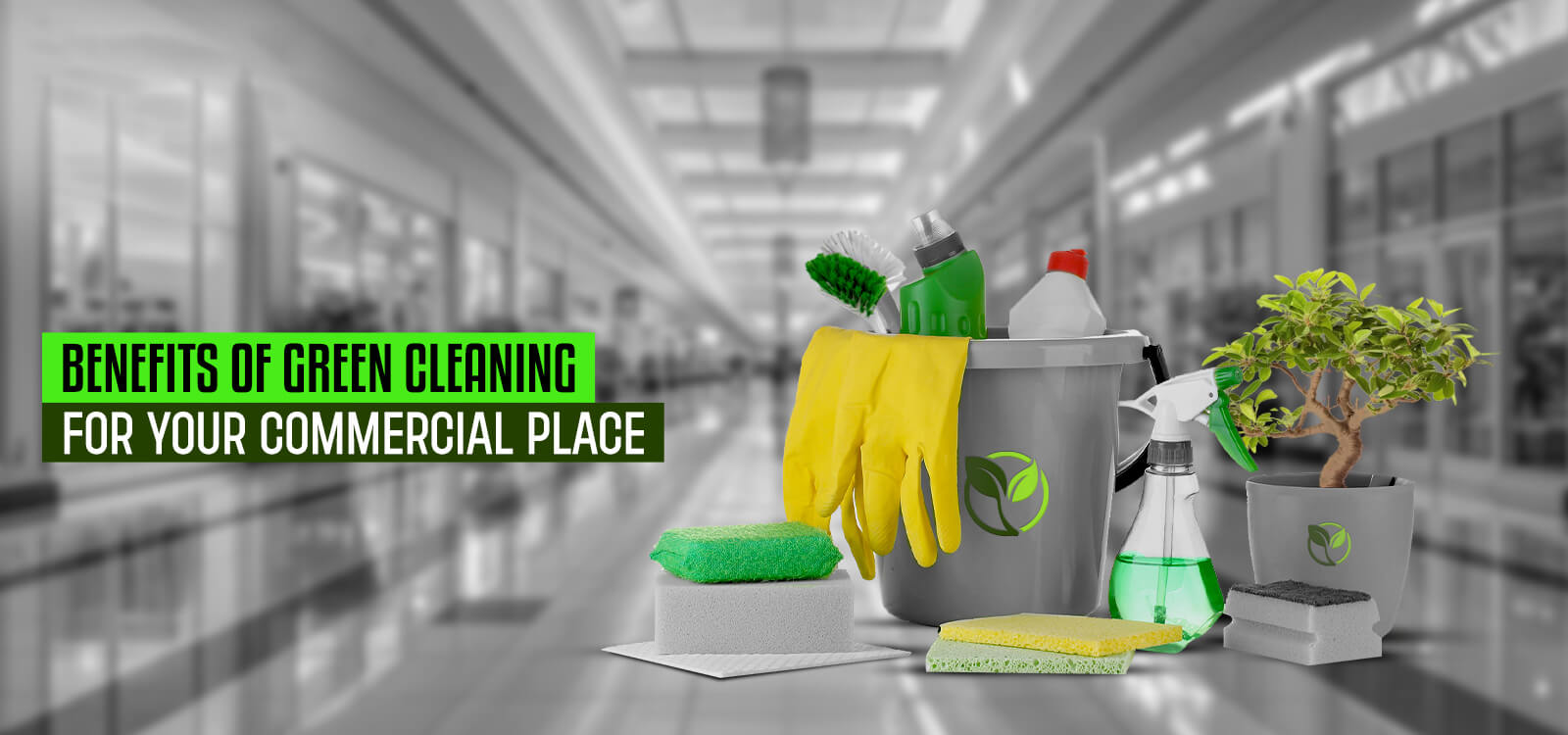 Green Commercial Cleaning